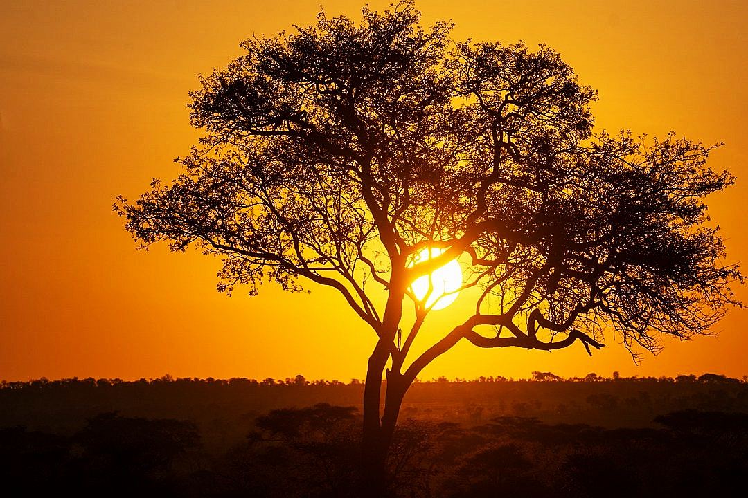 kenya-sunset