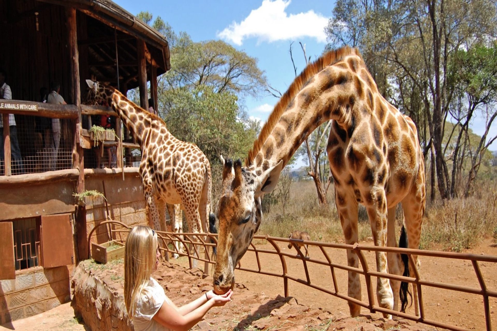 Incredible landscapes with World Adventure Tours Safaris